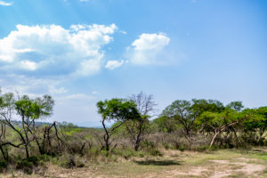 Site 17 - North