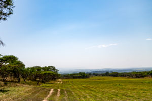 Site 18 - North