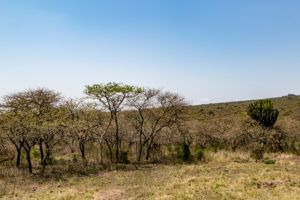 Site 20 - East