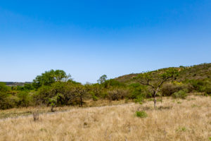 Site 24 - South