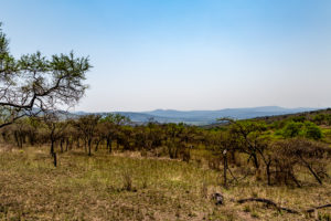 Site 25 - North