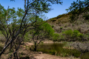 Site 29 - West