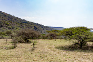 Site 31 - West