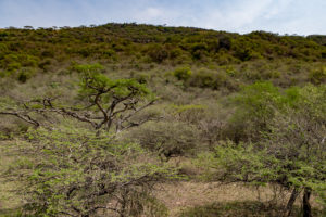 Site 32 - West