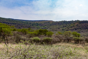 Site 33 - West