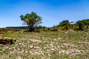 Site 34 - South