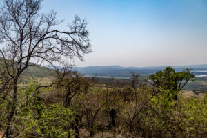 Site 35 - North