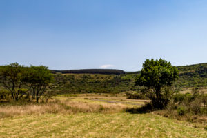 Site 43 - West