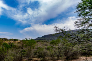 Site 45 - South