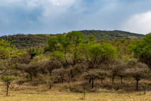 Site 47 - West