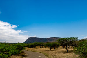 Site 6 - South